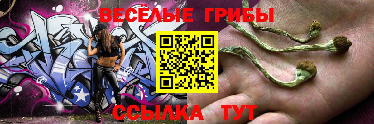 Сосновоборск  Псилоцибиновые грибы Psilocybe  Вход с VPN  Псилоцибиновые грибы Magic Shrooms 
